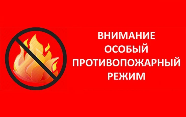 В Красноярском крае введен особый противопожарный режим